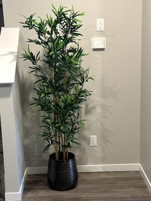 Apartmán Luxury Villa Home Edmonton Kanada